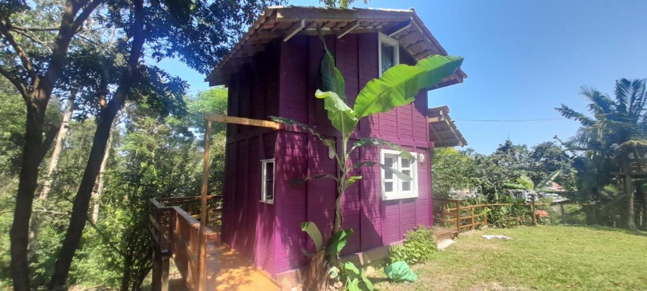 Violeta Aquarela Bombinhas Villa Eksteriør billede