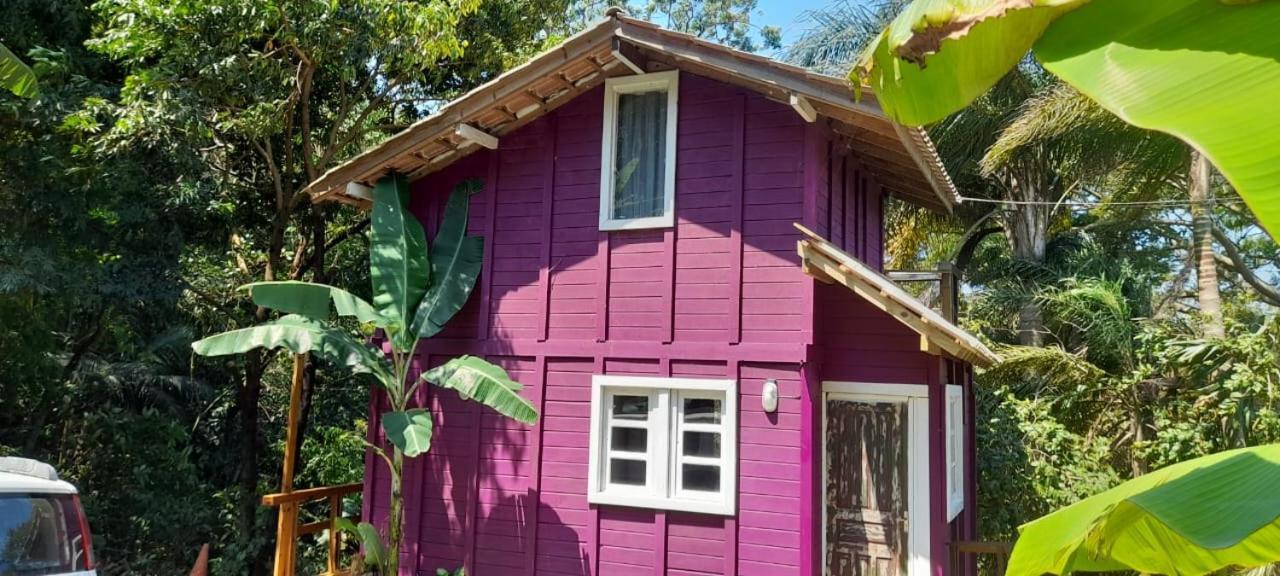 Violeta Aquarela Bombinhas Villa Eksteriør billede