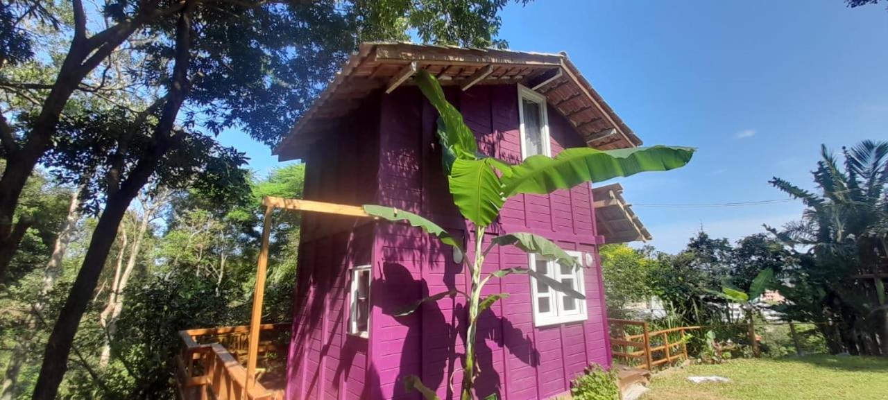 Violeta Aquarela Bombinhas Villa Eksteriør billede