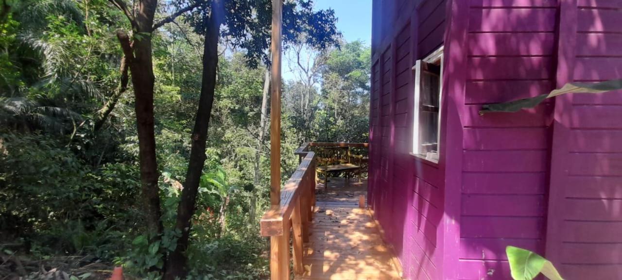 Violeta Aquarela Bombinhas Villa Eksteriør billede