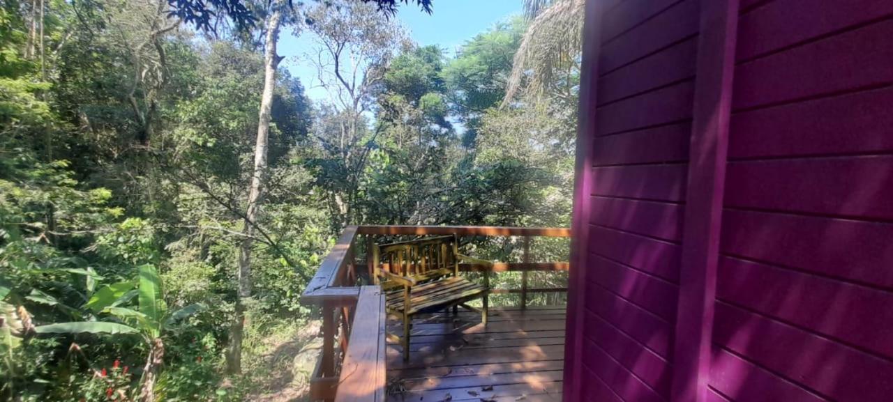 Violeta Aquarela Bombinhas Villa Eksteriør billede